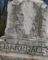 Mary Ann McVeigh Marshall