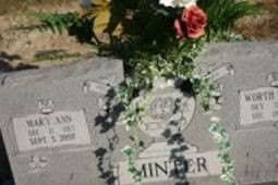 Mary Ann Minter