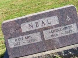 Mary Ann Neal
