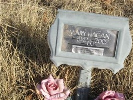 Mary Ann Needham Hagan