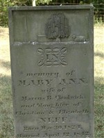 Mary Ann Neff Chadwick Mary Ann Neff Chadwick