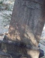 Mary Ann Nolen Weldon Mary Ann Nolen Weldon