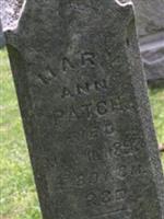 Mary Ann Patch