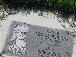 Mary Ann Perkins