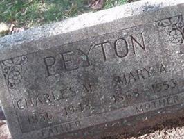 Mary Ann Peyton