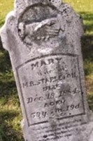 Mary Ann Ramey Stapleton