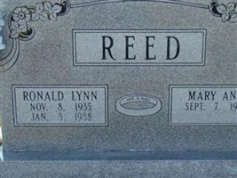 Mary Ann Reed