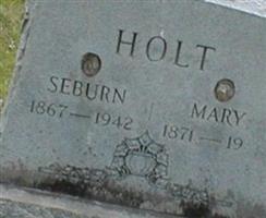 Mary Ann Robinson Holt
