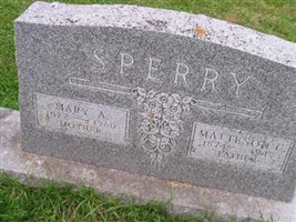 Mary Ann Sperry