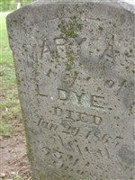 Mary Ann VanTrease Dye