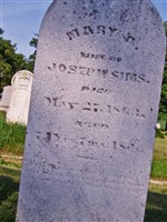 Mary Ann Walkup Sims