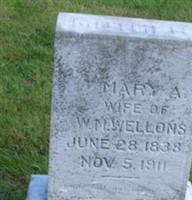 Mary Ann Wellons Mary Ann Wellons