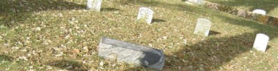 Mary Ann Wilcox Fenner Mary Ann Wilcox Fenner