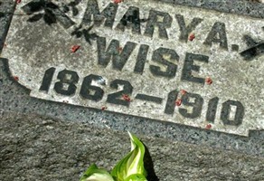 Mary Ann Wise Mary Ann Wise