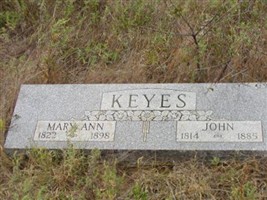 Mary Ann Wollard Keyes
