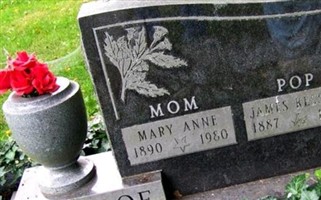 Mary Anne McIndoe Mary Anne McIndoe