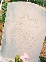 Mary Annie Whittington Wilson Mary Annie Whittington Wilson
