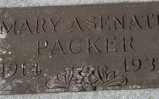 Mary Asenath Packer