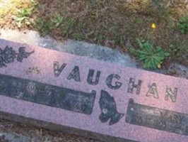 Mary B Vaughan
