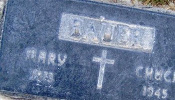Mary Bauer