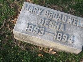 Mary Broadwell Desha (1857572.jpg)