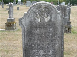 Mary C Burch