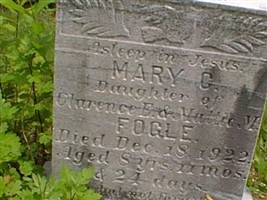 Mary C Fogle Mary C Fogle