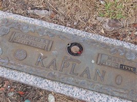 Mary C Kaplan