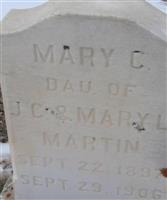 Mary C Martin