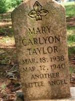 Mary Carlyon Taylor Mary Carlyon Taylor