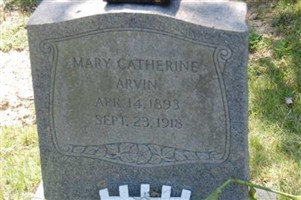 Mary Catherine Arvin Mary Catherine Arvin