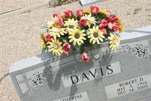 Mary Catherine Connell Davis
