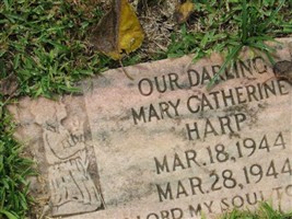 Mary Catherine Harp