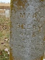 Mary Catherine Swank Beery