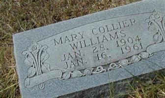 Mary Collier Williams