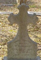Mary Colvin Roche Mary Colvin Roche