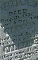 Mary D Haskell Mary D Haskell