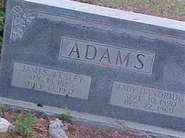 Mary Dandridge Adams