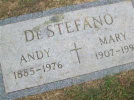 Mary De Stefano Mary De Stefano