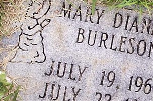 Mary Dianne Burleson