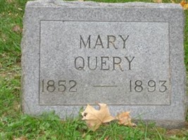 Mary Dobson Query Mary Dobson Query