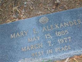 Mary E Alexander