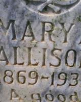 Mary E Allison