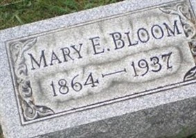 Mary E Bloom