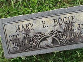 Mary E. Bogle