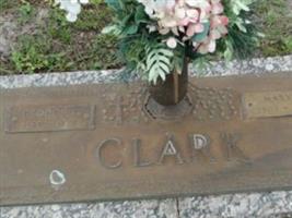 Mary E Clark