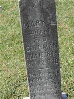 Mary E Coleman