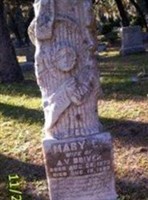 Mary E. Driver