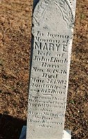 Mary E Fogle