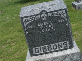 Mary E Gibbons